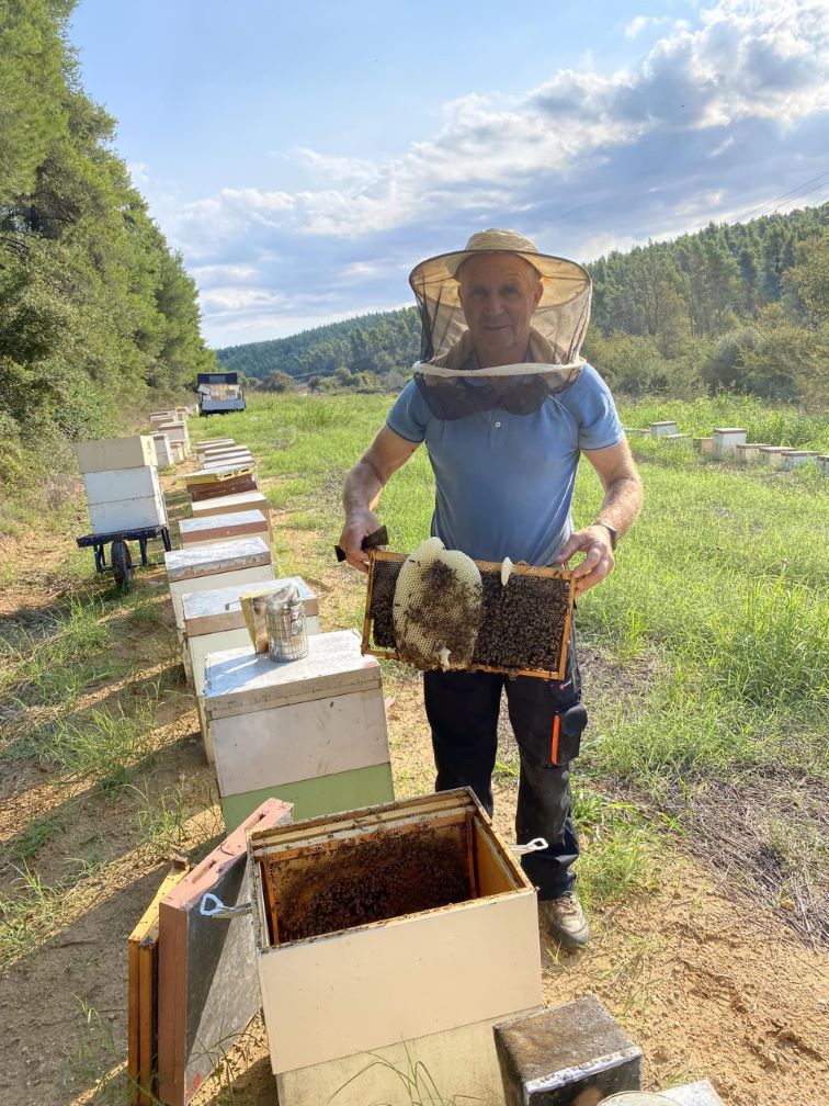 Υποβολή αιτήσεων για αντικατάσταση κυψελών και οικονομική στήριξη της νομαδικής μελισσοκομίας