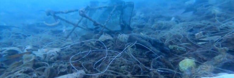 Χαλκιδική: Καθαρισμός ακτών και βυθού στο πλαίσιο του Blue Halkidiki 2023