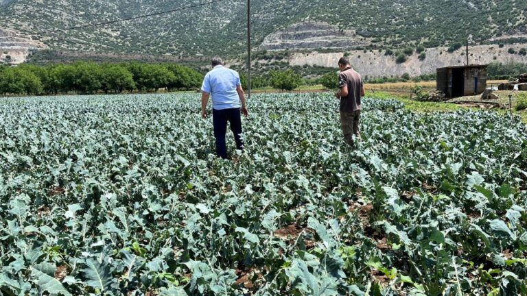 Ο δήμος Τρίπολης ζητά από τον ΕΛΓΑ να μεριμνήσει άμεσα, για τις αποζημιώσεις