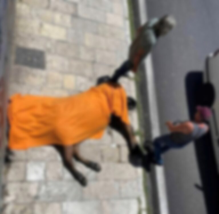 Κέρκυρα: Άλογο τουριστικής άμαξας ξεψύχησε στη μέση του δρόμου