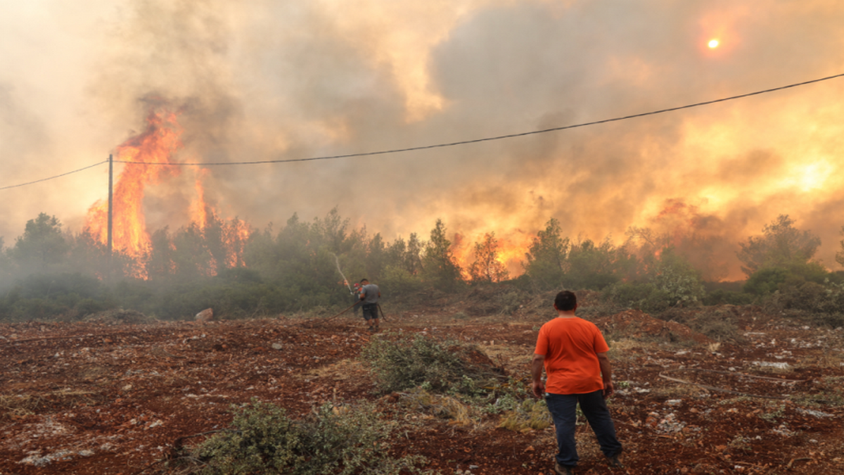 Κλιμάκιο του ΕΛΓΑ από αύριο στη Ρόδο – Θα καταβληθούν αποζημιώσεις για τις ζημιές από τις πυρκαγιές