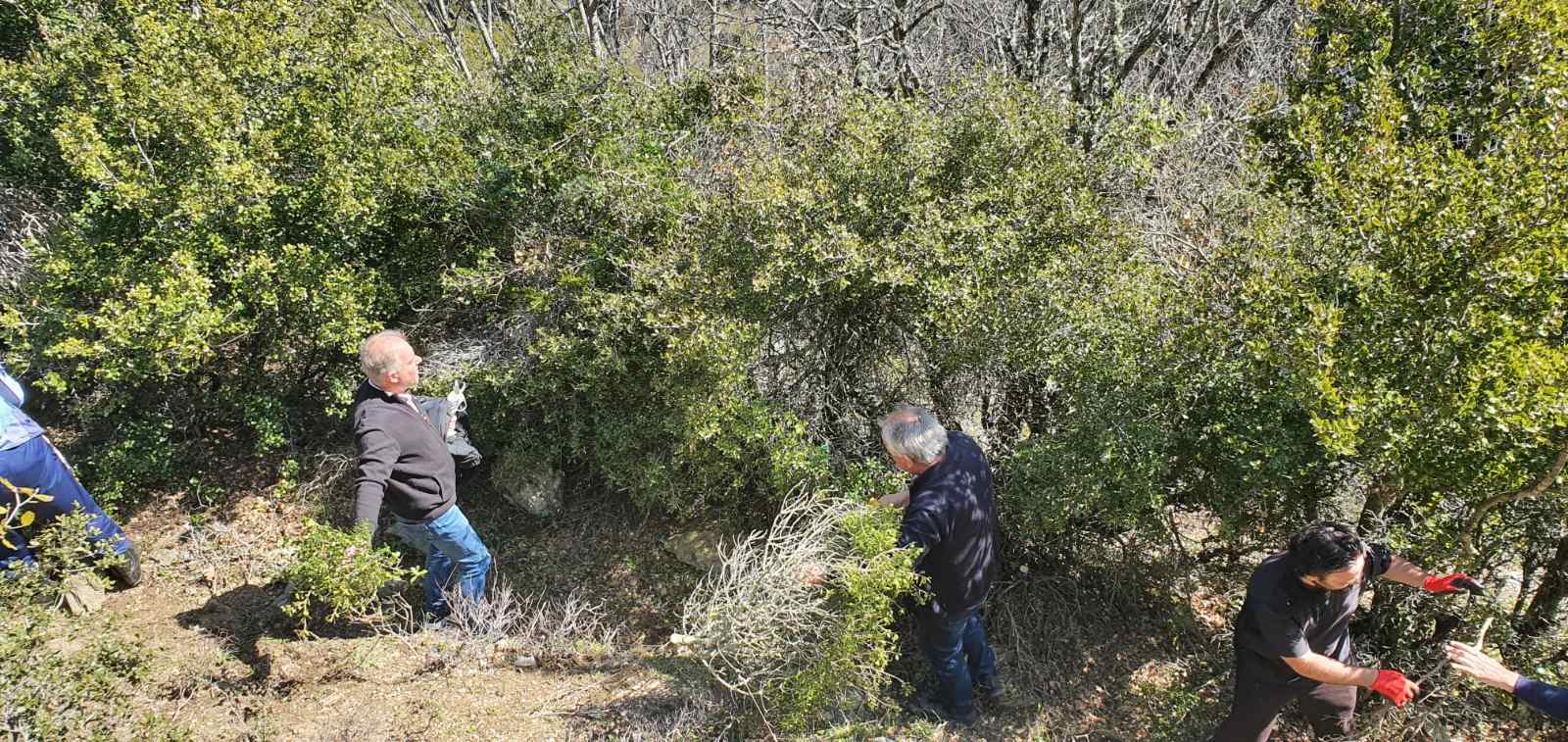 Δήμος Τεμπών: Προχωρά η δημιουργία δικτύου μονοπατιών