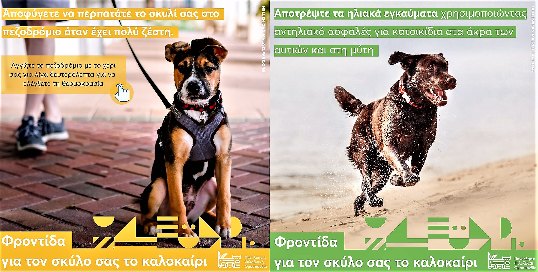 ΠΦΟ
