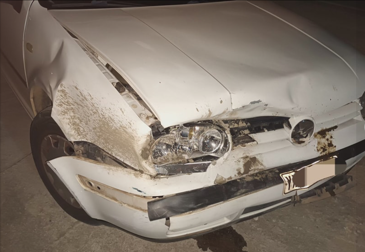 Χαλκιδική: ΙΧ συγκρούστηκε με αγριογούρουνο-Σοβαρές υλικές ζημίες στο αυτοκίνητο