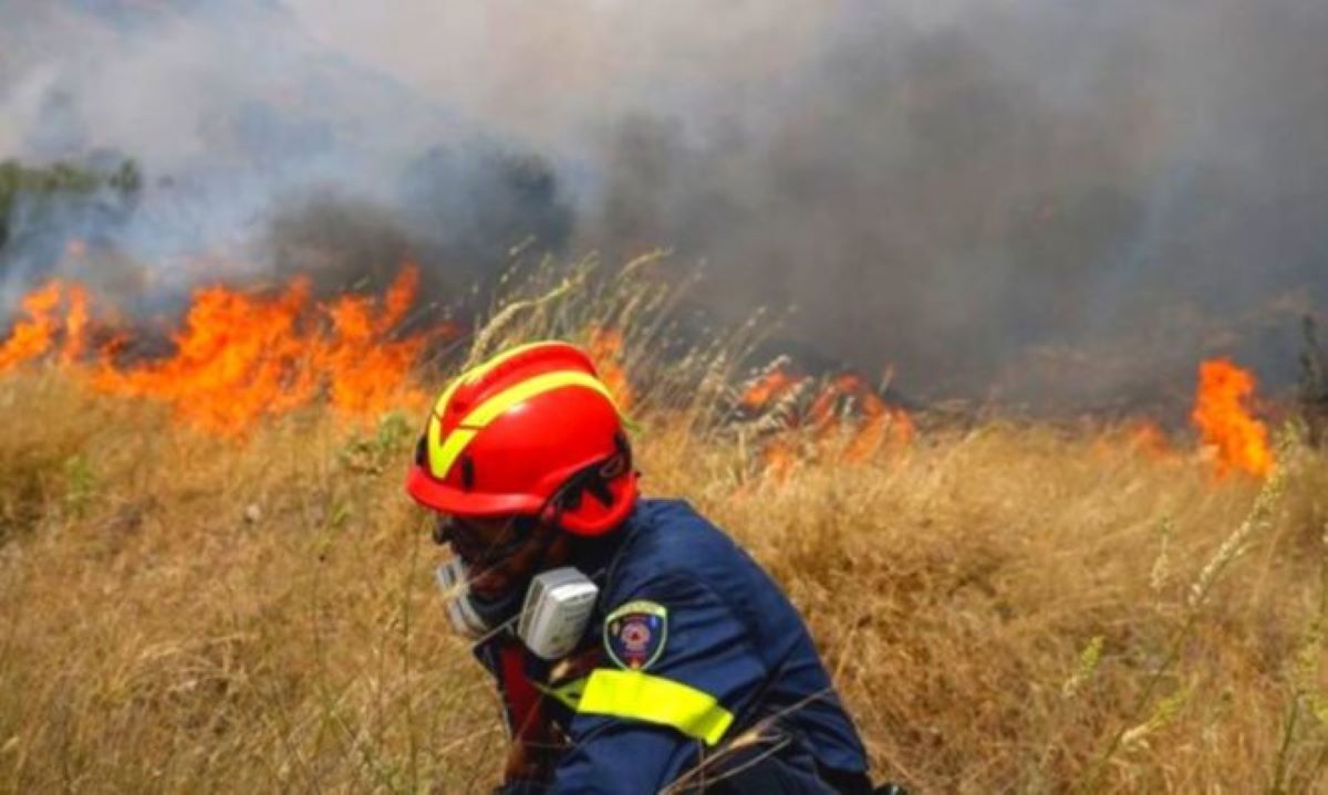 Αργολίδα: Φωτιά σε αγροτοδασική έκταση στο Μετόχι Ερμιονίδας
