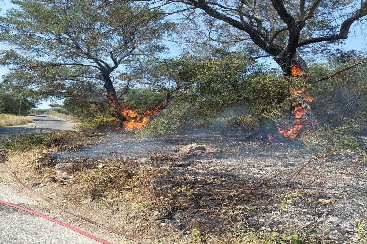 «Φλόγες ξεπήδησαν από το πουθενά» – Απόπειρα εμπρησμού καταγγέλλει στην ΕΡΤ ο αντιδήμαρχος της Βόρειας Κέρκυρας Ν. Μουζακίτης