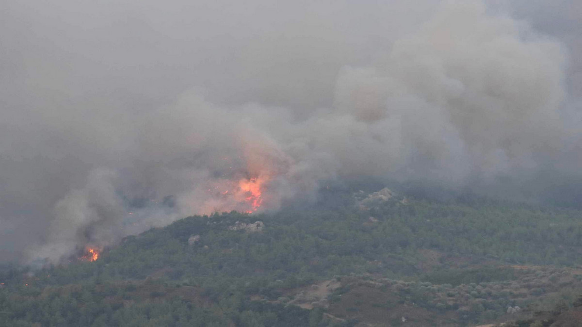 Δύσκολη και η σημερινή νύχτα στη Ρόδο- Συνεχείς αναζωπυρώσεις σε όλα τα μέτωπα