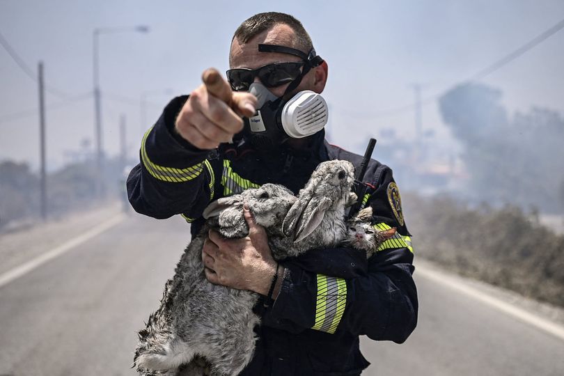 Πυροσβέστης σφίγγει στην αγκαλιά του μικρά ζωάκια που έχει μόλις διασώσει από τις φλόγες