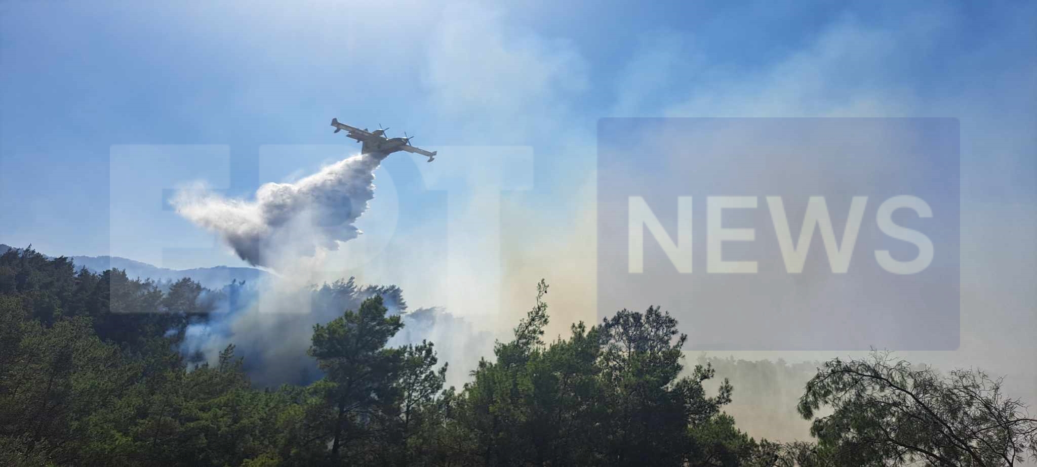 Ροδόπη: Υπο άμεσο έλεγχο τέθηκε η πυρκαγιά στην Οργάνη