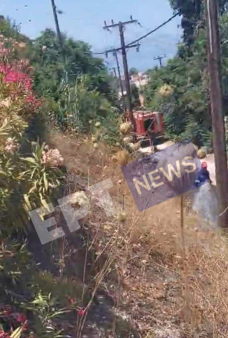 Χανιά: Υπό έλεγχο πυρκαγιά σε απόσταση αναπνοής από ξενοδοχείο στον Δ. Πλατανιά