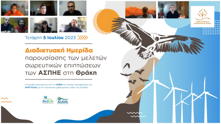Εταιρεία Προστασίας Βιοποικιλότητας Θράκης: Ανεπαρκής η νομοθεσία για τις επιπτώσεις των ΑΣΠΗΕ