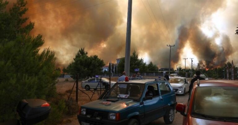 Μαγνησία: Ξεκίνησαν οι αυτοψίες και καταγραφές ζημιών