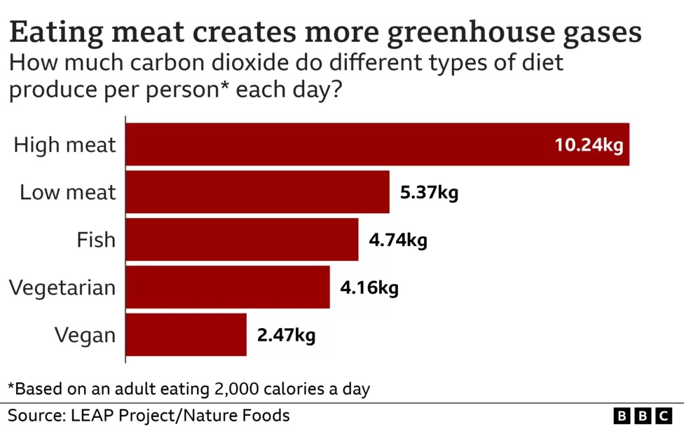 Έρευνα: Πόσο επιδεινώνει η διατροφή με κρέας την καταστροφή του περιβάλλοντος