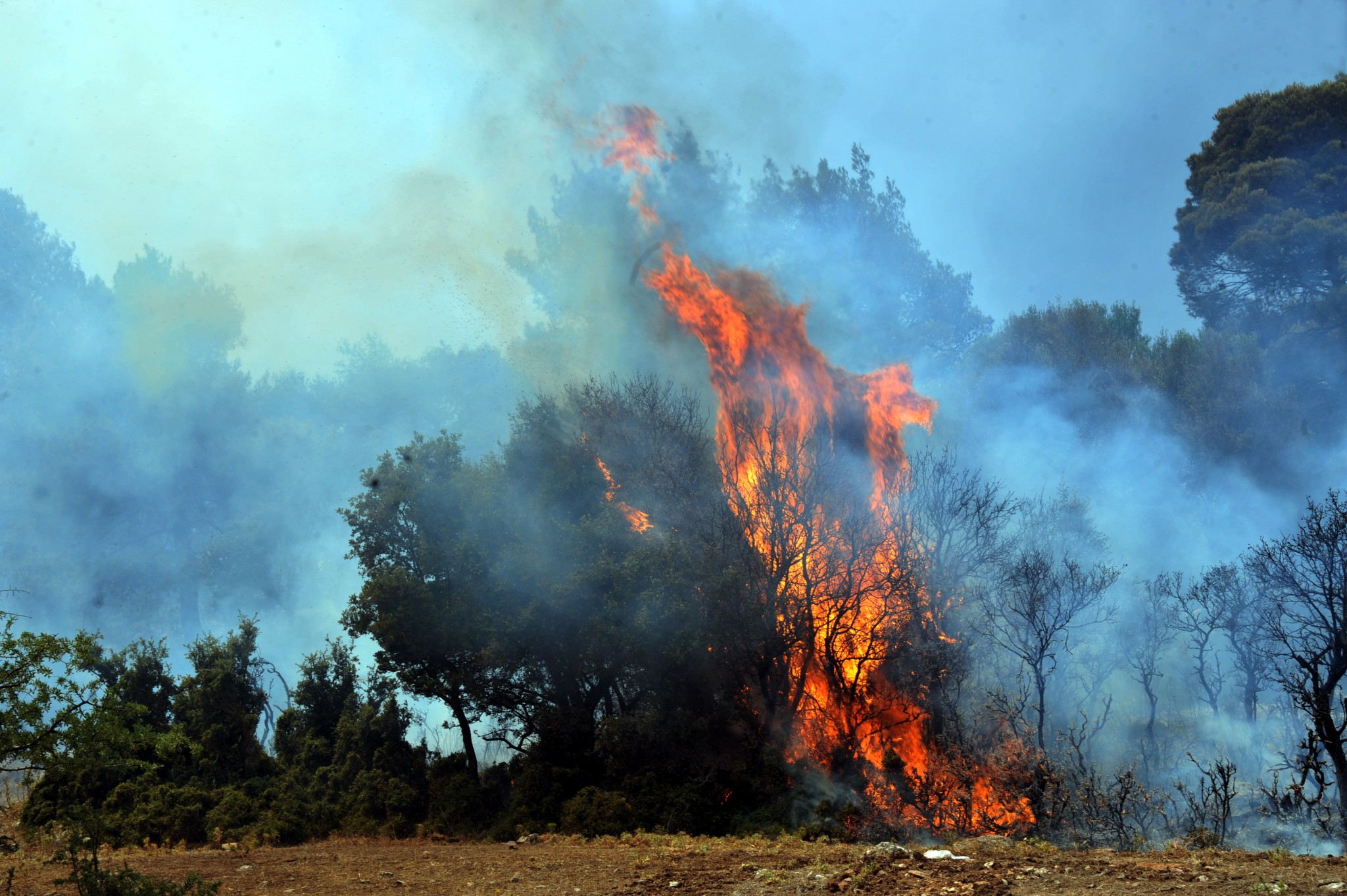 Μαγνησία: Στον Αλμυρό το τρίτο μέτωπο φωτιάς μέσα σε λίγη ώρα