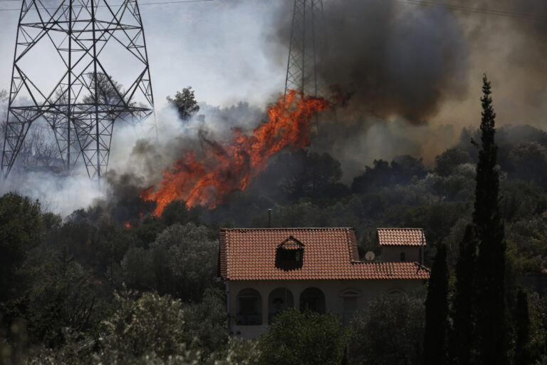 Πυρκαγιά στην Κερατέα: Μαρτυρία γνωστής ηθοποιού στην ΕΡΤ για την εξέλιξη της φωτιάς