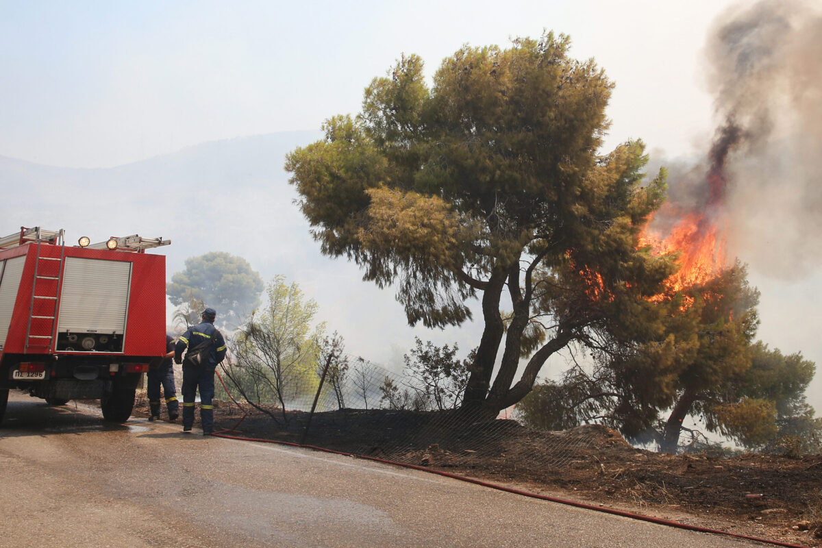 Φωτιά στα Μέγαρα: Εντολή απομάκρυνσης των κατοίκων από το Κανδήλι – Κλειστή η παλιά εθνική οδός Ελευσίνας – Θηβών – Νέο μέτωπο στον Ασπρόπυργο