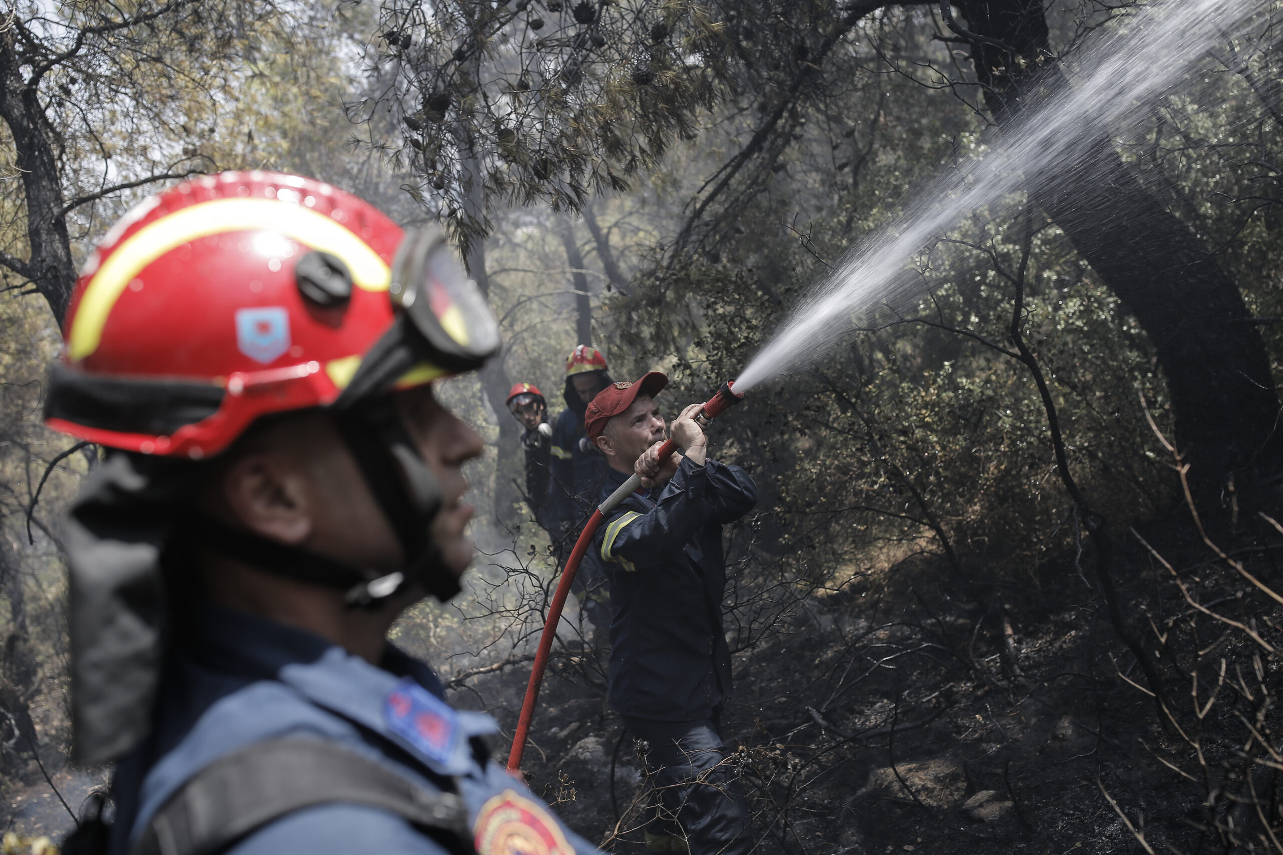 Σεληνιακό τοπίο στις πληγείσες περιοχές – Δέσμη μέτρων για τους πυρόπληκτους (video)