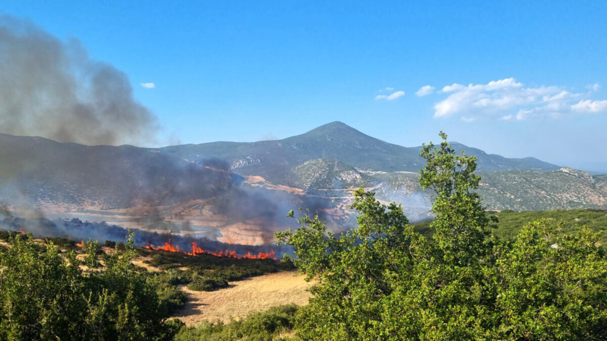 Λαμία: Σε ύφεση η φωτιά