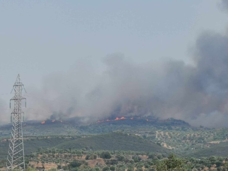 Λακωνία: Μαίνεται ανεξέλεγκτη η μεγάλη πυρκαγιά στην περιοχή Πυρί Σπάρτης (φωτό-βίντεο)