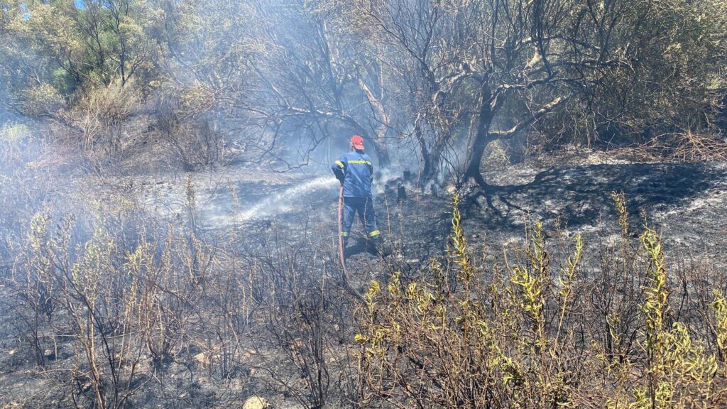 Σποραδικές αναζωπυρώσεις στην Κέρκυρα: Επιχειρούν τα εναέρια μέσα – Υπό έλεγχο η φωτιά στο Τεμπλόνι