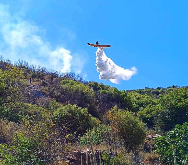 Οριοθετήθηκε η πυρκαγιά σε δασική έκταση στην Μαθία Μεσσηνίας (φωτό-βίντεο)