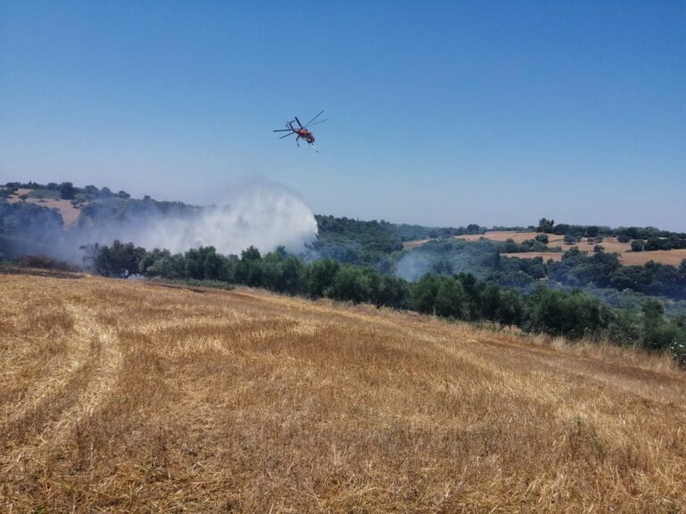 Πύργος: Οριοθετήθηκε η πυρκαγιά στην Αετορράχη Ηλείας- Προσπάθεια να τεθεί υπό πλήρη έλεγχο