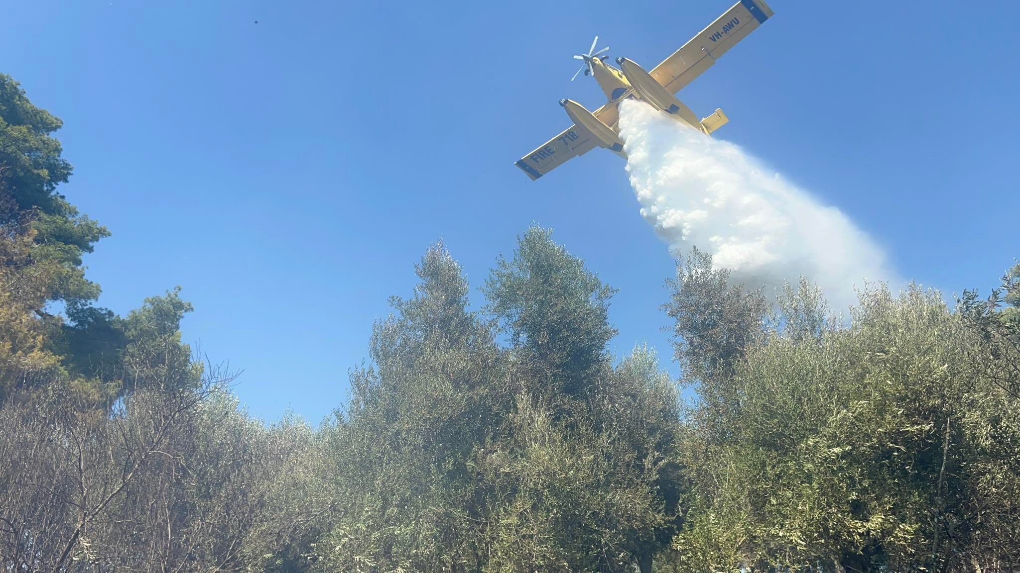 Πύργος: Οριοθετήθηκε η πυρκαγιά στην Ηράκλεια Ηλείας