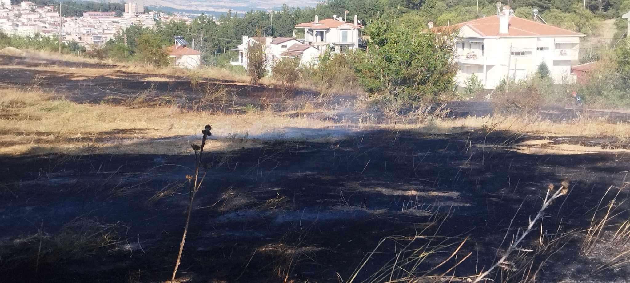 Κοζάνη: Υπό έλεγχο η φωτιά στις παρυφές της πόλης (video)
