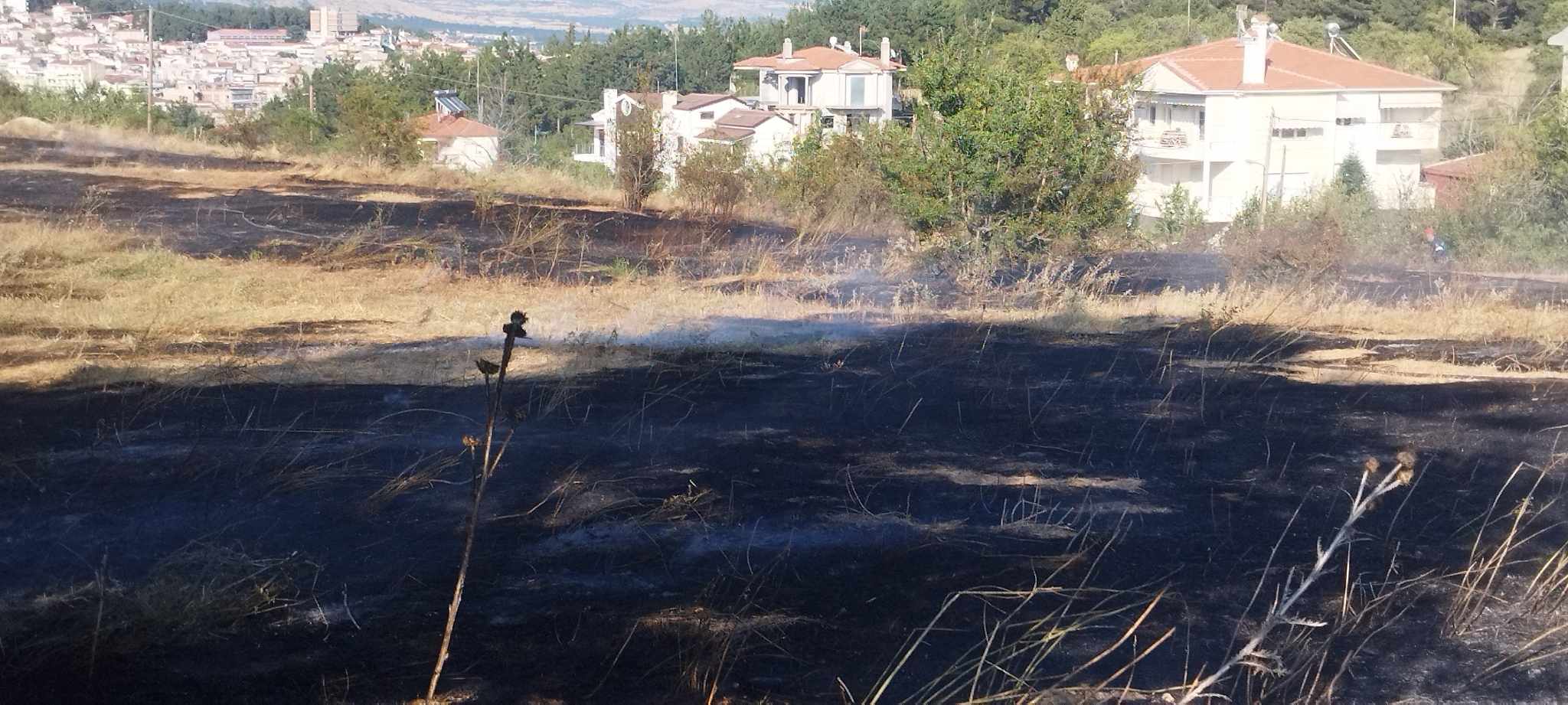 Κοζάνη: Υπό έλεγχο η φωτιά στις παρυφές της πόλης (video)