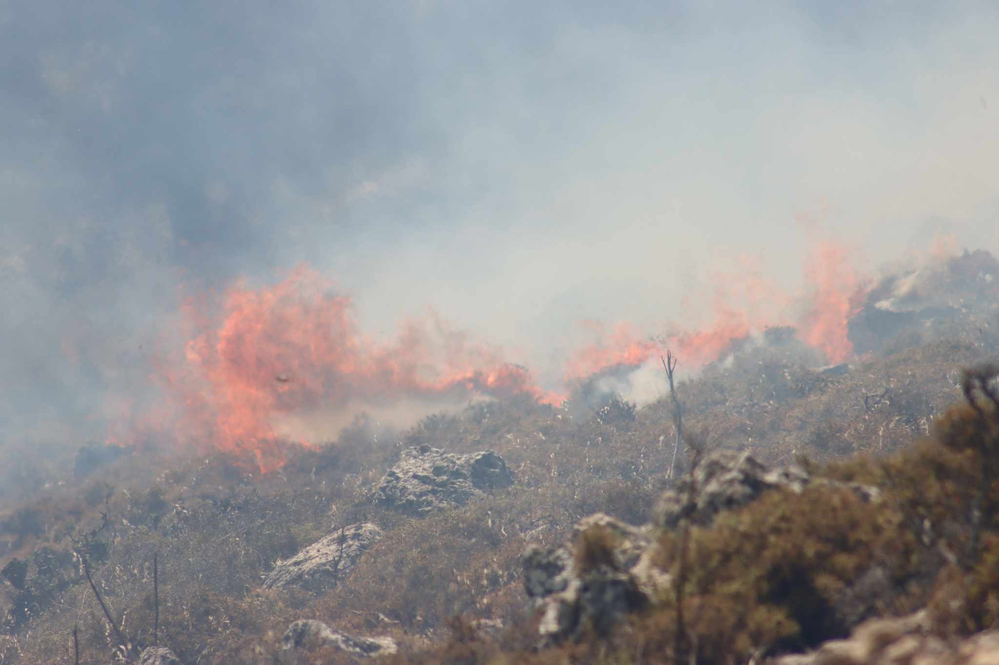 Νέα αναζωπύρωση στη Ρόδο: Τιτάνια μάχη με την πύρινη λαίλαπα – Φαρμακευτικό υλικό στους ήρωες της πυροσβεστικής (photos)