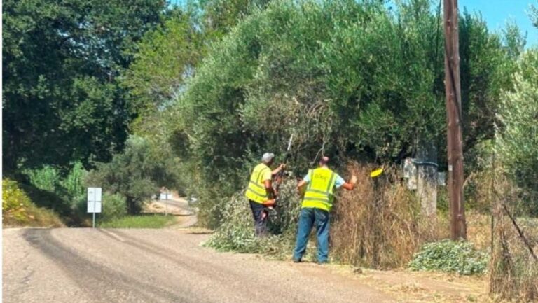 Παρεμβάσεις οδικής ασφάλειας στο επαρχιακό δίκτυο της Ηλείας