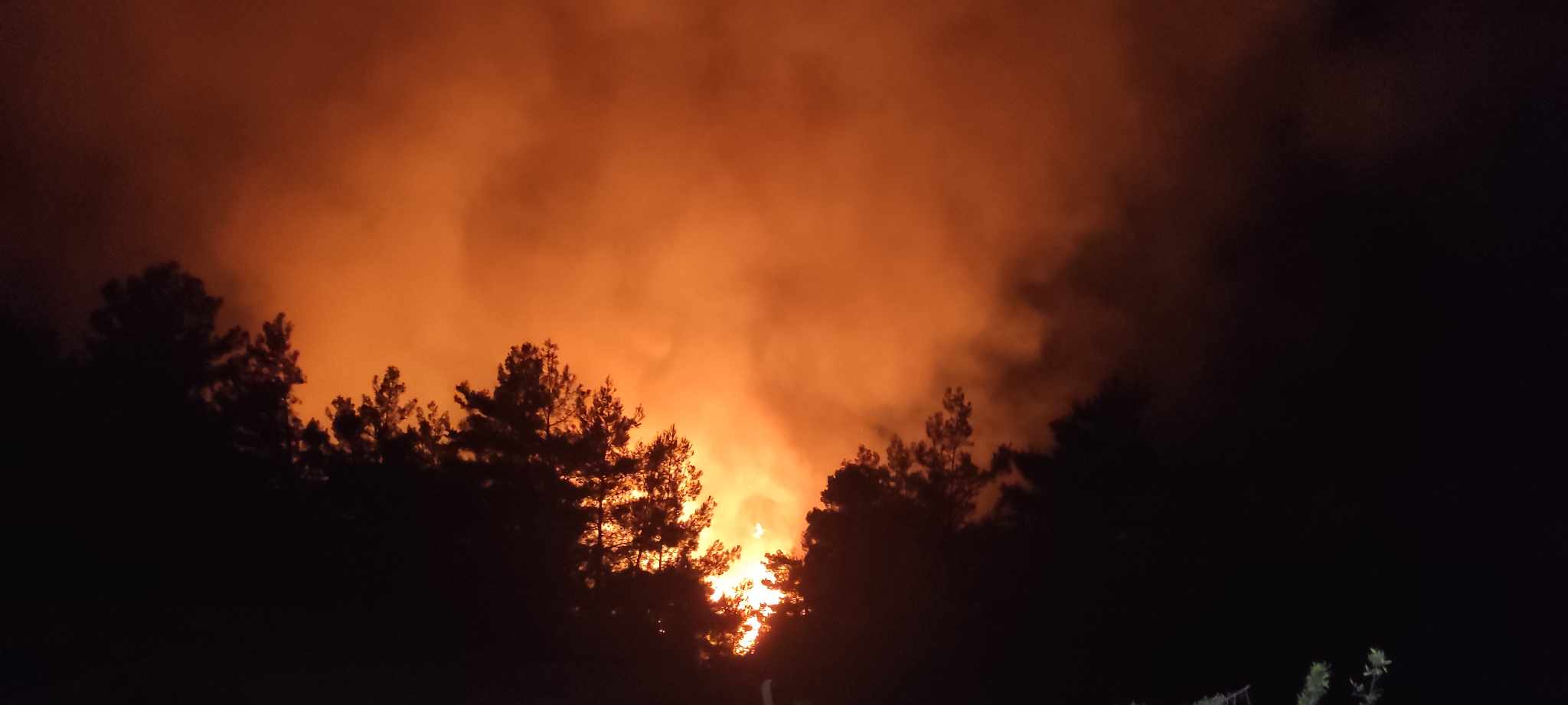 Φωτιά στη Βλυχάδα: «Αν περάσει το δρόμο χαθήκαμε» – Μάχη για να μη περάσουν οι φλόγες στην πυκνοκατοικημένη περιοχή της Ν. Περάμου