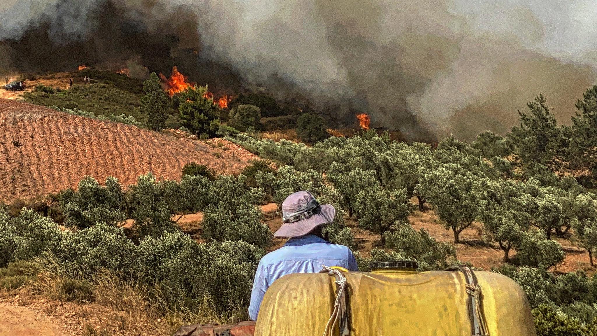 Λακωνία: Σε ύφεση η πυρκαγιά – Ανησυχία για αναζωπυρώσεις τις μεσημβρινές ώρες (photos)