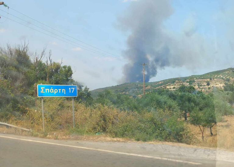 Λακωνία: Συναγερμός για μεγάλη πυρκαγιά στην περιοχή Πυρί Σπάρτης