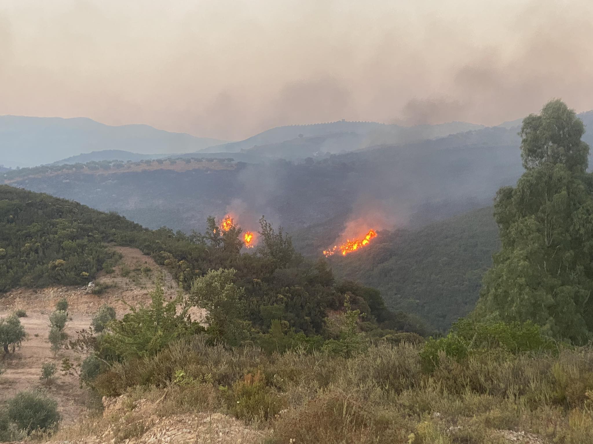 Σπάρτη: Βελτιωμένη η κατάσταση στα μέτωπα της φωτιάς χωρίς να έχουν τεθεί υπο έλεγχο