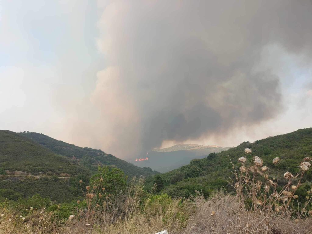 Λακωνία: Μαίνεται ανεξέλεγκτη η μεγάλη πυρκαγιά στην περιοχή Πυρί Σπάρτης (φωτό-βίντεο)