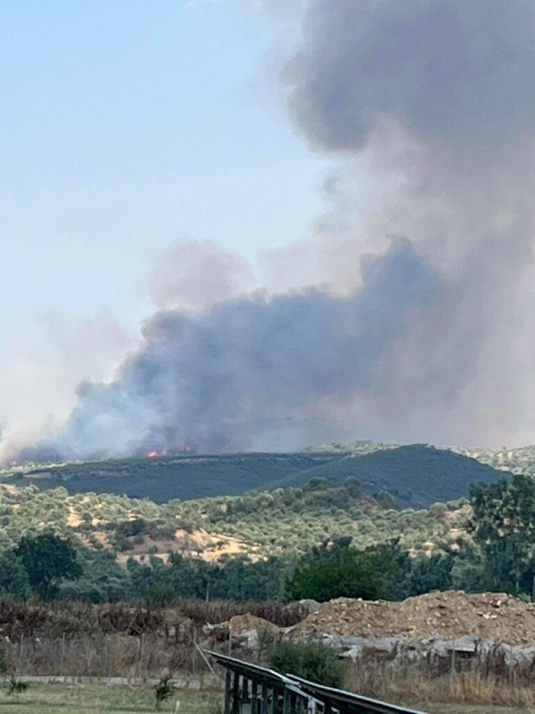 Λακωνία: Μαίνεται ανεξέλεγκτη η μεγάλη πυρκαγιά στην περιοχή Πυρί Σπάρτης (φωτό-βίντεο)