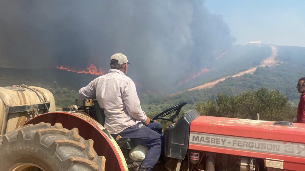 Λακωνία: Σε ύφεση η πυρκαγιά – Ανησυχία για αναζωπυρώσεις τις μεσημβρινές ώρες (photos)