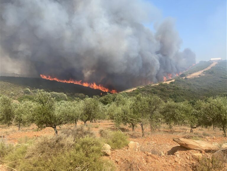 Αναζωπύρωση τώρα στο μέτωπο της Λακωνίας (video- photos)