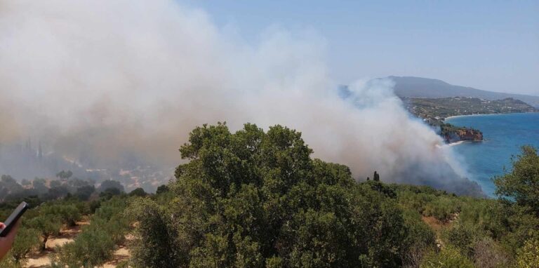 Μεσσηνία: Οριοθετήθηκε η φωτιά στην Αγία Τριάδα Κορώνης (video/photos)