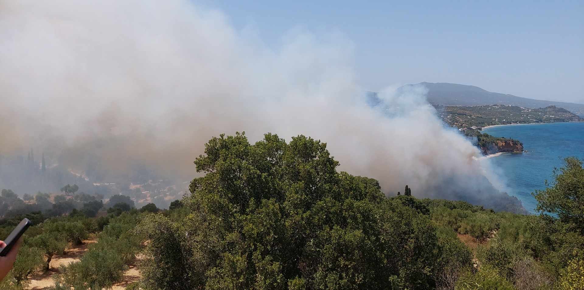 Μεσσηνία: Πυρκαγιά ξέσπασε στην Αγία Τριάδα Κορώνης (video/photos)