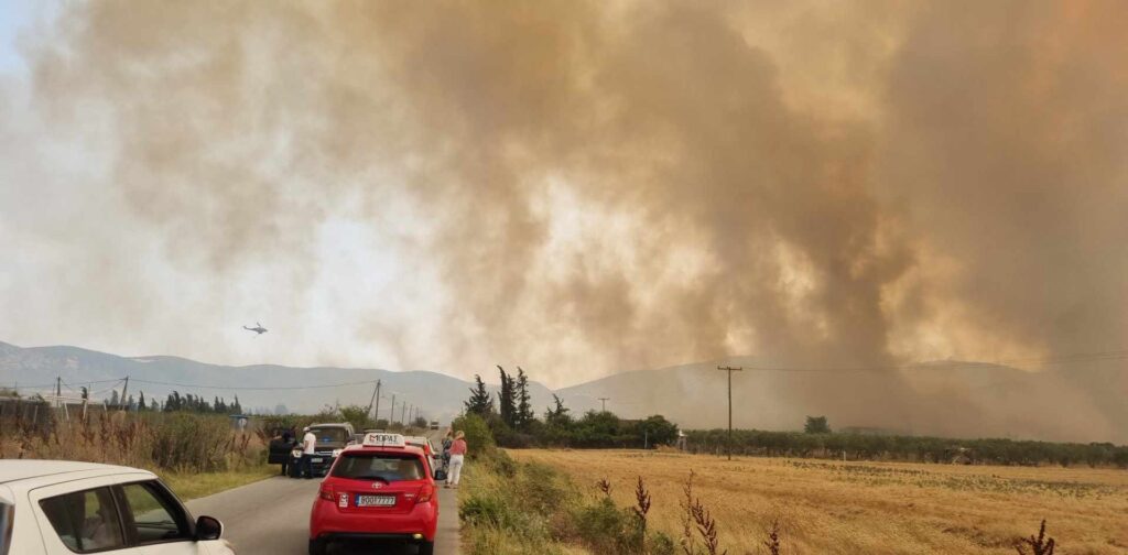 Μεγάλη φωτιά στο Βελεστίνο: Καίγονται σπίτια στον Άγιο Γεώργιο Φερών – Εκκενώνεται το Σέσκλο