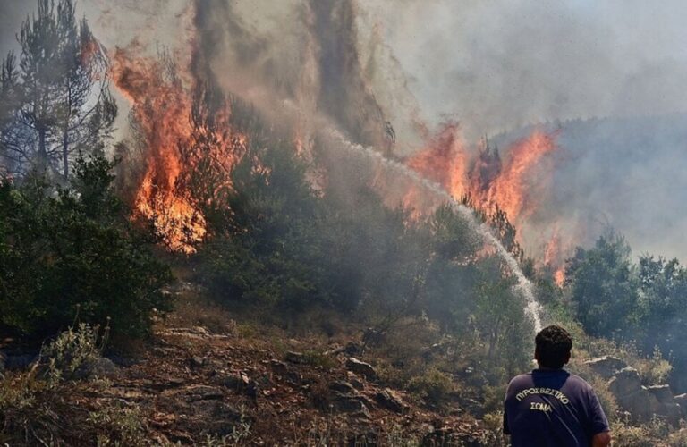 H Τ.Ε. ΚΚΕ Μαγνησία καταγγέλλει ότι ο κρατικός μηχανισμός ήταν “γυμνός” και χωρίς σχεδιασμό για να αντιμετωπίσει την φωτιά