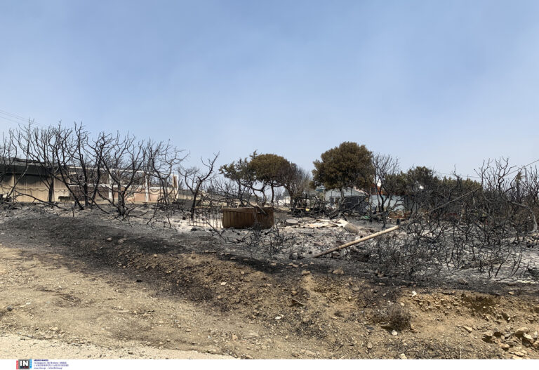 ΥΠΑΑΤ: Άμεσα η καταγραφή των ζημιών από τις πυρκαγιές στην Ρόδο – Μεταβαίνει κλιμάκιο του ΕΛΓΑ