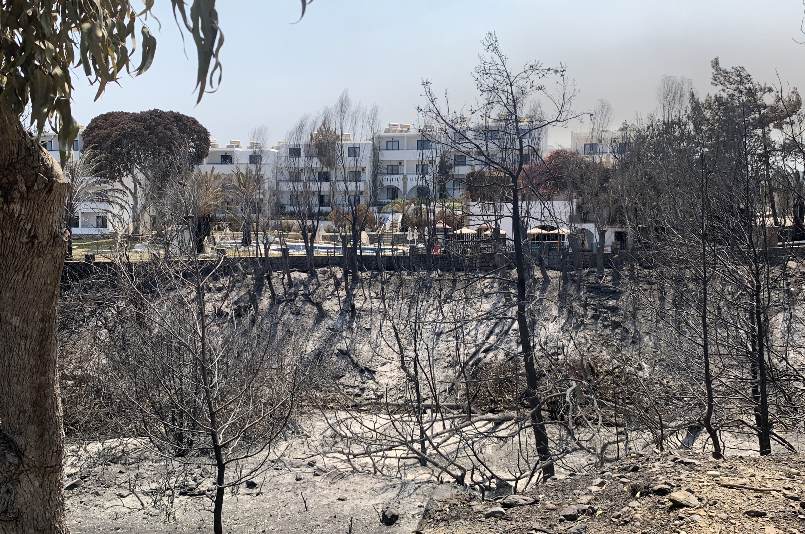 Ρόδος, Κέρκυρα – Επόμενη μέρα: Θλίψη, οργή, αγανάκτηση μετά από τα πύρινα μέτωπα – Εικόνες αποκάλυψης