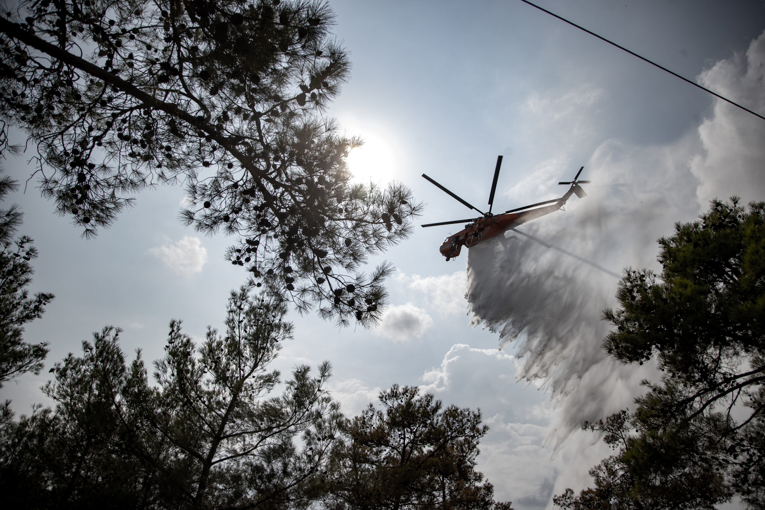 Θεσσαλονίκη: Υπό μερικό έλεγχο τέθηκε η πυρκαγιά στην περιοχή Προφήτης
