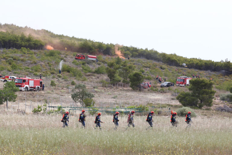  Συνολικά 99 συλλήψεις για εμπρησμούς σε αγροτικές και δασικές εκτάσεις – 52 πυρκαγιές το τελευταίο 24ωρο