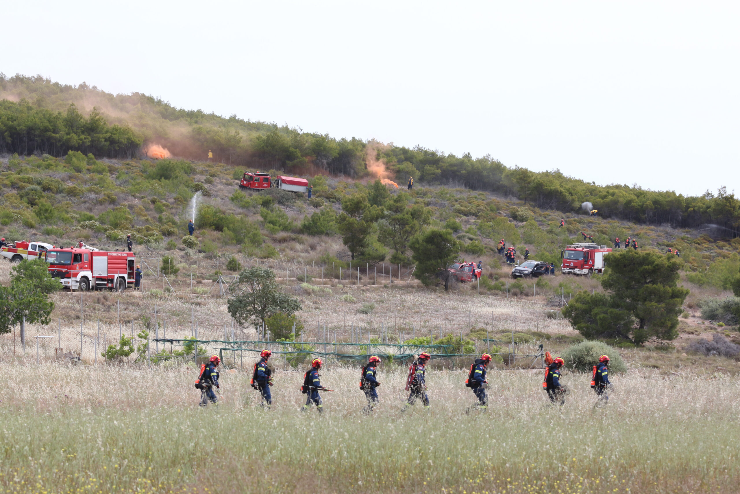  Συνολικά 99 συλλήψεις για εμπρησμούς σε αγροτικές και δασικές εκτάσεις – 52 πυρκαγιές το τελευταίο 24ωρο