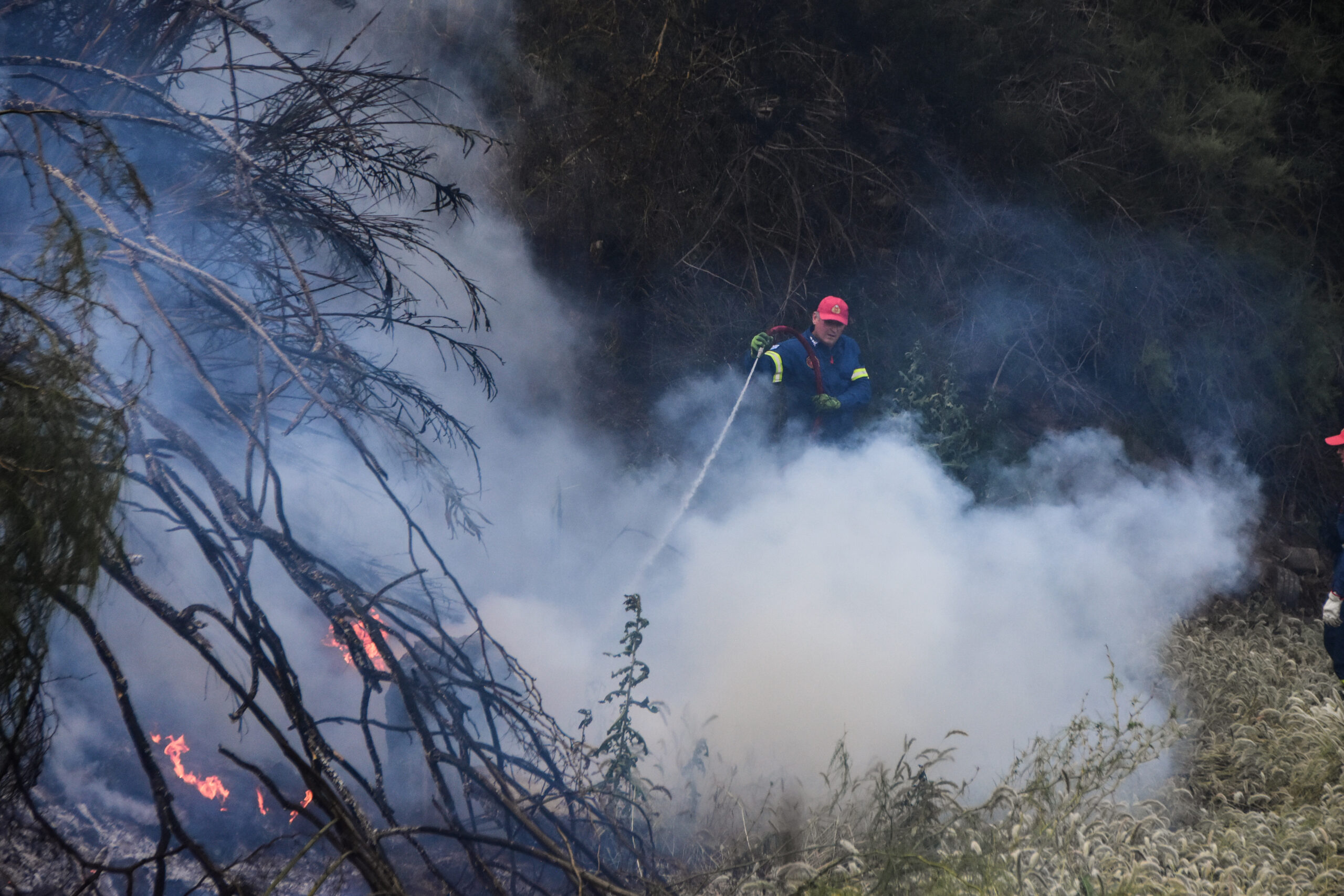 Χαλκιδική: Υπό μερικό έλεγχο η φωτιά στη Μεταμόρφωση