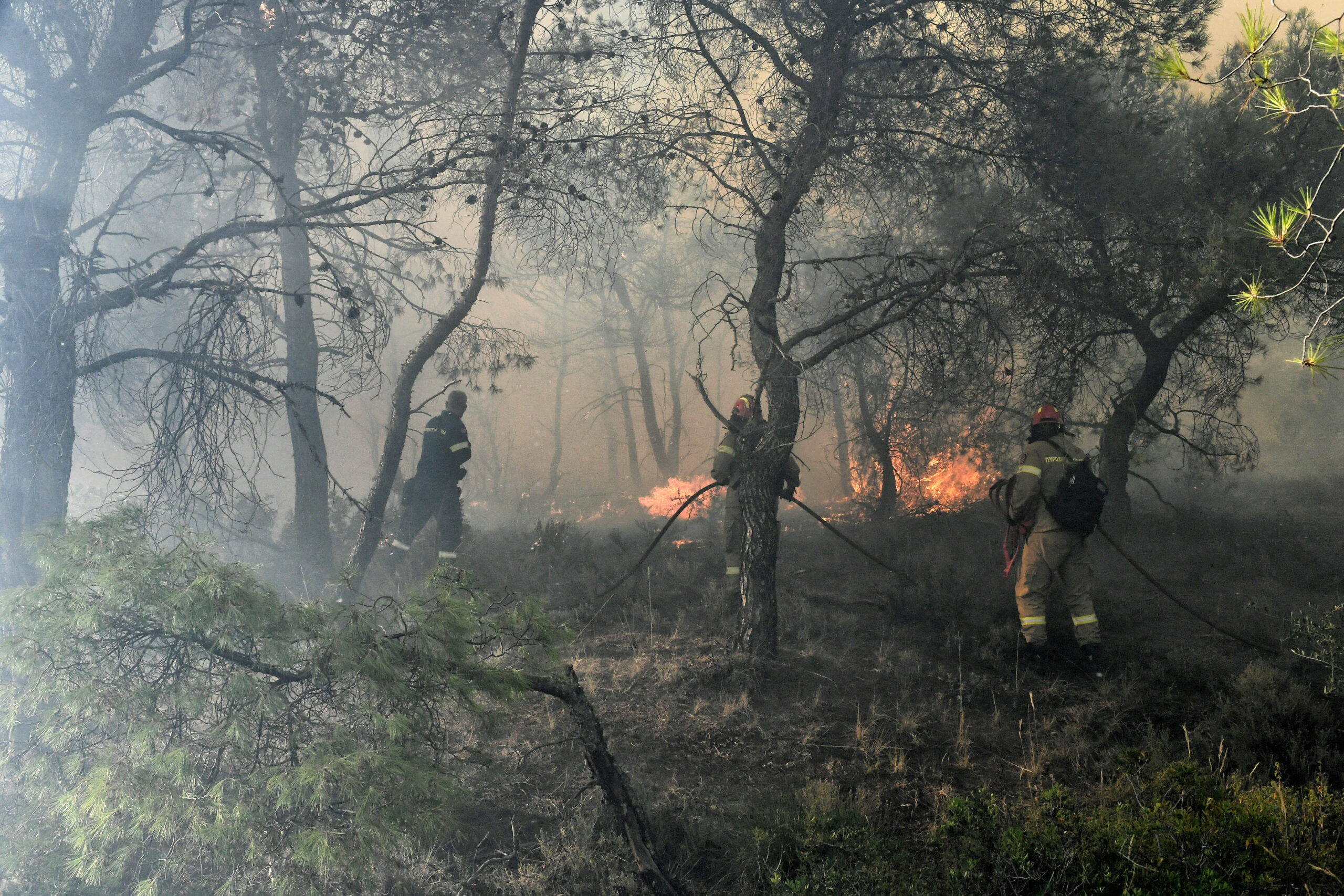 ΦΩΤΙΑ ΣΕ ΔΑΣΙΚΗ ΕΚΤΑΣΗ ΣΤΗ ΚΑΛΛΙΘΕΑ ΛΟΥΤΡΑΚΙΟΥ (EUROKINISSI/ ΣΥΝΕΡΓΑΤΗΣ)